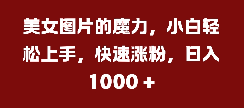 美女图片的魔力，小白轻松上手，快速涨粉，日入几张【揭秘】-逐浪前行