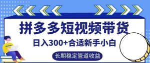 拼多多短视频带货日入300+有长期稳定被动收益,合适新手小白【揭秘】-逐浪前行