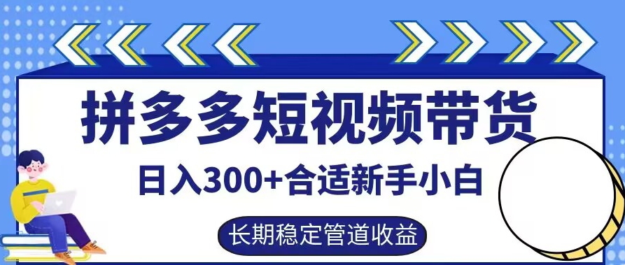 拼多多短视频带货日入300+有长期稳定被动收益，合适新手小白【揭秘】-逐浪前行