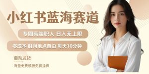 小红书蓝海赛道,圈中高端职场人,月入无上限,可矩阵,内含私域实操教程!-逐浪前行