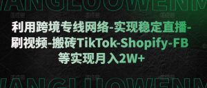 利用跨境专线网络-实现稳定直播-刷视频-搬砖TikTok-Shopify-FB等实现月入2W+【揭秘】-逐浪前行