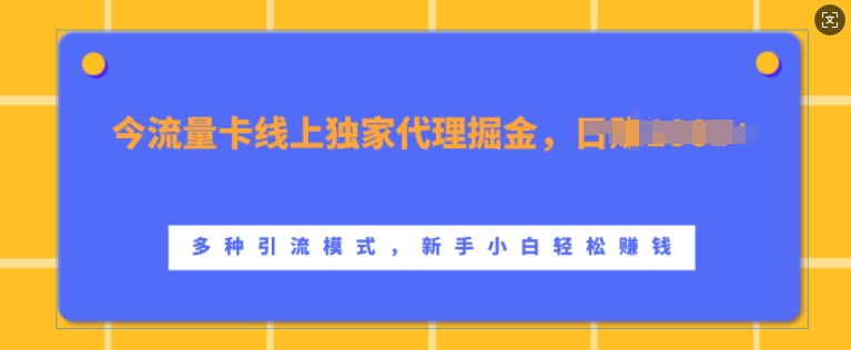 流量卡线上独家代理掘金，日入1k+ ，多种引流模式，新手小白轻松上手【揭秘】-逐浪前行