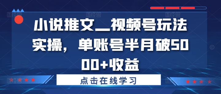 小说推文—视频号玩法实操，单账号半月破5000+收益-逐浪前行