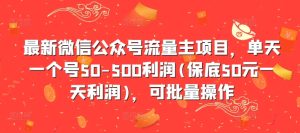 最新微信公众号流量主项目，单天一个号50-500利润(保底50元一天利润)，可批量操作-逐浪前行