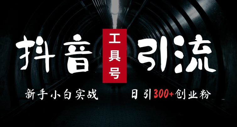 2024最新抖音工具号引流玩法，高效日引300+创业粉，当天变现5k，小白也可成为实战高手-逐浪前行