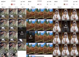 狗熊岭快手连怼技术，好物，涨粉都可以连怼-逐浪前行