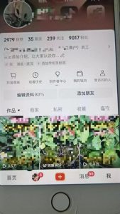 最新抖音暴力起万粉技术，一天涨万粉，发三四个作品涨近万粉-逐浪前行