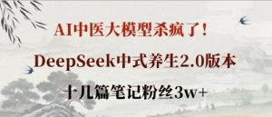 AI中医大模型杀疯了!DeepSeek中式养生2.0版本,十几篇笔记粉丝3w+-逐浪前行