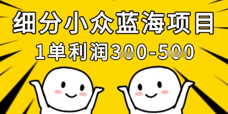 细分小众蓝海项目，一单利润3张，每月收入稳定过1w+-逐浪前行