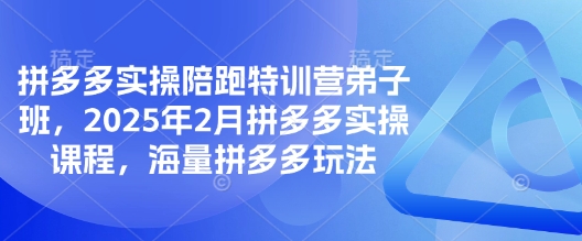 拼多多实操陪跑特训营弟子班，2025年2月拼多多实操课程，海量拼多多玩法-逐浪前行