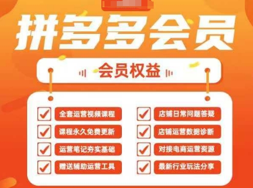 2025拼多多运营实战课，40节全流程教学，覆盖拼多多运营全链路-逐浪前行