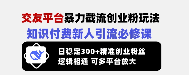 交友平台暴力截流创业粉玩法，知识付费新人引流必修课，日稳定300+精准创业粉丝，逻辑相通可多平台放大-逐浪前行