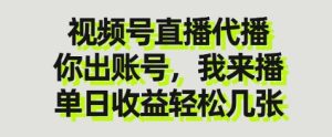 视频号直播代播，你出账号我来播，单日收益轻松几张【揭秘】-逐浪前行