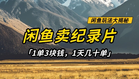 闲鱼卖纪录片1单3块钱，1天几十单，项目稳定有潜力-逐浪前行