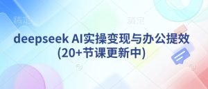 deepseek AI实操变现与办公提效(20+节课更新中)-逐浪前行