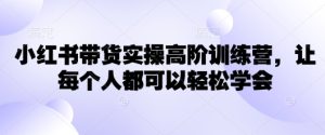 小红书带货实操高阶训练营,让每个人都可以轻松学会-逐浪前行