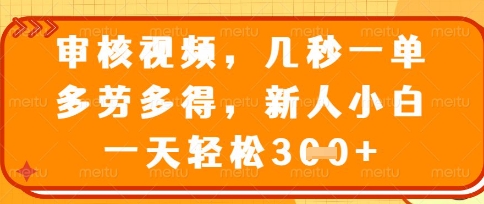 最新审核视频，几秒一单，多劳多得，新人小白一天轻松3张【揭秘】-逐浪前行