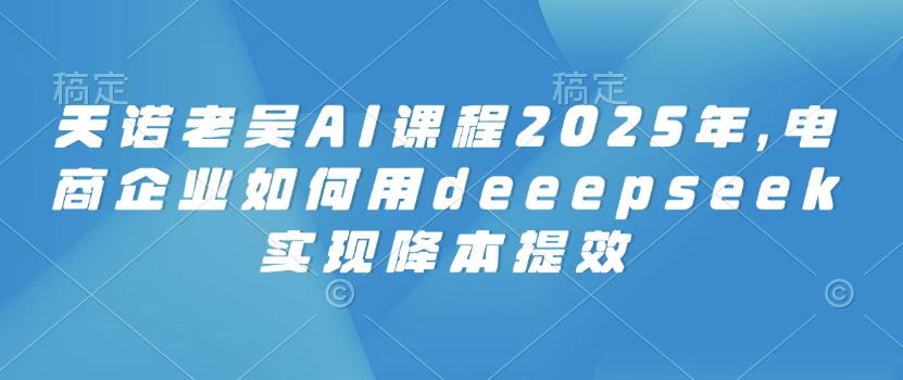 天诺老吴AI课程2025年，电商企业如何用deeepseek实现降本提效-逐浪前行