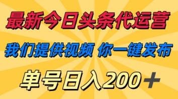 最新今日头条代运营，我们提供视频，你一键发布，单号日入200+【揭秘】-逐浪前行