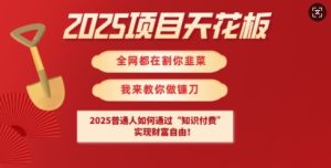 2025项目天花板普通人如何通过知识付费,实现财F自由【揭秘】-逐浪前行