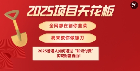 2025项目天花板普通人如何通过知识付费，实现财F自由【揭秘】-逐浪前行
