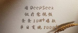 用DeepSeek做疗愈视频,条条10W+爆款,单日变现多张-逐浪前行