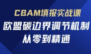 CBAM填报实战课，欧盟碳边界调节机制，从零到精通-逐浪前行
