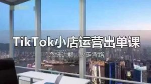 TikTok小店运营出单课,从开店选品、运营出单、发货回款,进行全流程讲解-逐浪前行