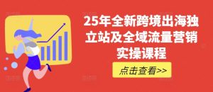 25年全新跨境出海独立站及全域流量营销实操课程,跨境电商独立站TIKTOK全域营销普货特货玩法大全-逐浪前行