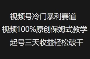 视频号冷门暴利赛道视频100%原创保姆式教学起号三天收益轻松破千-逐浪前行