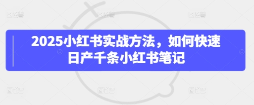 2025小红书实战方法，如何快速日产千条小红书笔记-逐浪前行