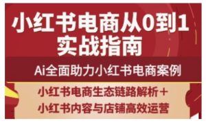 2025小红书电商全链路运营,Ai全面助力小红书电商案例-逐浪前行
