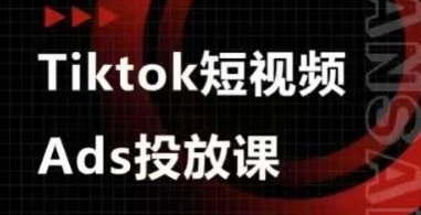Ads视频投放课，tiktok短视频广告投放课-逐浪前行
