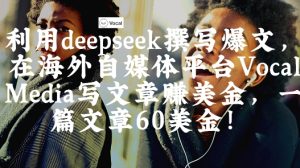 出海搞钱!利用deepseek撰写爆文,在海外自媒体平台Vocal Media写文章挣美金,一篇文章60刀-逐浪前行