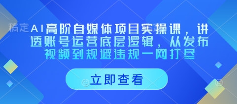 AI高阶自媒体项目实操课，讲透账号运营底层逻辑，从发布视频到规避违规一网打尽-逐浪前行