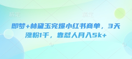 即梦+林黛玉完爆小红书商单，3天涨粉1千，靠怼人月入5k+-逐浪前行