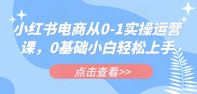小红书电商从0-1实操运营课，0基础小白轻松上手-逐浪前行