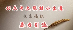 deepseek写农村小项目,条条爆款,暴力引流-逐浪前行