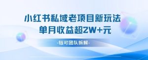 小红书私域项目新玩法,单月变现过W+-逐浪前行