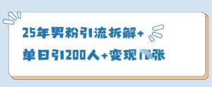 25年男粉引流拆解+单日引200人+变现多张-逐浪前行