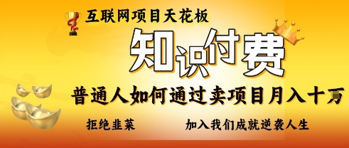 互联网项目天花板，知付付费项目，普通人如何通过卖项目月入十个，拒绝韭菜【揭秘】-逐浪前行