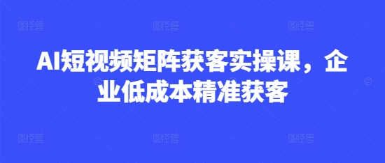 AI短视频矩阵获客实操课，企业低成本精准获客-逐浪前行