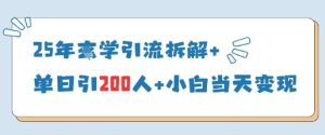 25年国学引流拆解+单日引200人+小白当天就能变现-逐浪前行