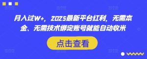 月入过W+,2025最新平台红利,无需本金、无需技术绑定账号就能自动收米-逐浪前行