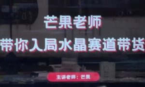 芒果老师·带你入局水晶赛道带货,助你开启水晶直播带货事业-逐浪前行