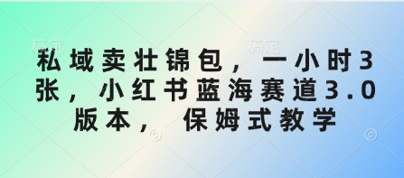 私域卖壮锦包，一小时3张，小红书蓝海赛道3.0版本， 保姆式教学-逐浪前行