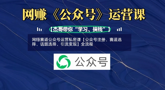网创赛道公众号运营私密课【公众号注册、赛道选择、话题选择、引流变现】全流程-逐浪前行
