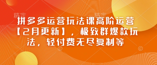 拼多多运营玩法课高阶运营【2月更新】，极致群爆款玩法，轻付费无尽复制等-逐浪前行