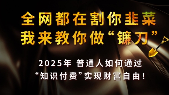 全网都在割你韭菜，我来教你做镰刀，2025普通人如何通过知识付费，实现财F自由【揭秘】-逐浪前行