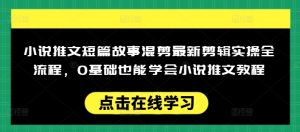 小说推文短篇故事混剪最新剪辑实操全流程,0基础也能学会小说推文教程,肯干多发日入多张-逐浪前行
